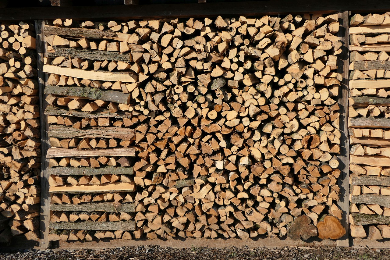 Types Of Firewood for Fireplace (A Simple Guide To Burning)