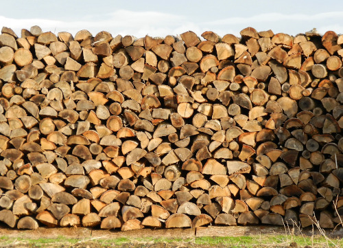 What Does Seasoned Firewood Mean 