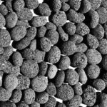 Premium Lava Pebbles